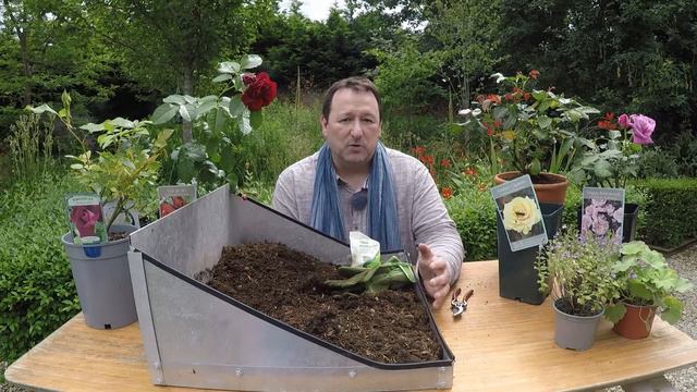 Mark Lane's Tips For Growing The Best Garden Roses | PrimroseTV смотреть онлайн