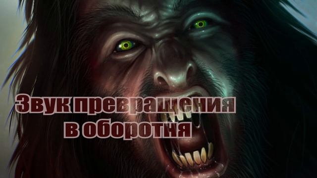 Звук превращения человека в оборотня и наоборот слушать