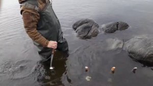 Тестирование квоков на открытой воде #квок #clonk