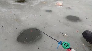 ЛОВЛЯ КАРАСЯ В ЯНВАРЕ