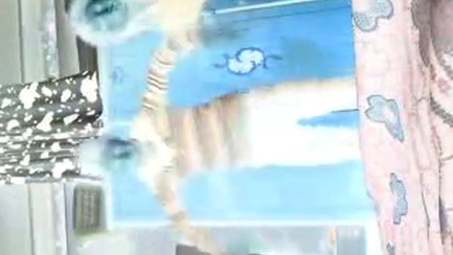 Павианы .MP4 смотреть онлайн