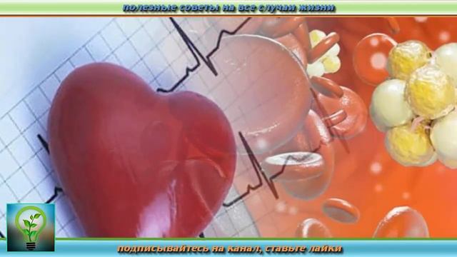 Вся ПРАВДА про СЕМЕЧКИ ТЫКВЫ. Что будет если есть тыквенные семечки КАЖДЫЙ ДЕНЬ. Рецепты ЗДОРОВЬЯ