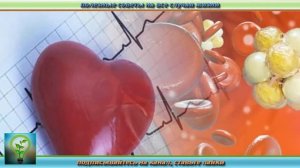 Вся ПРАВДА про СЕМЕЧКИ ТЫКВЫ. Что будет если есть тыквенные семечки КАЖДЫЙ ДЕНЬ. Рецепты ЗДОРОВЬЯ