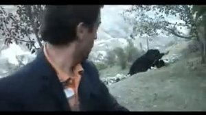 Зизик трилер mp4