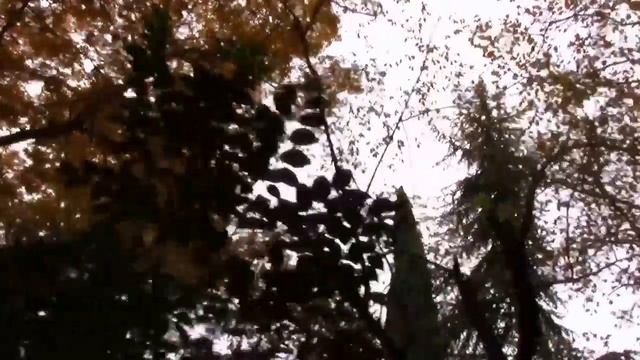 12_11_2017_СОЧИ_PINK FLOYD_Us and Them (Piano Cover).mp4 смотреть онлайн