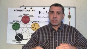 Точка E36 Цзу-Сан-Ли и все 12 ть меридианов.