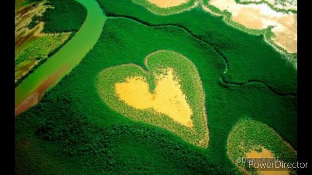 Ченнелинг. Послание от планеты Земля 🌎 🙏 смотреть онлайн