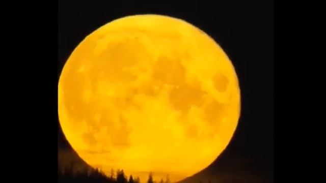 Гигантская Луна появляется рядом с Землей Решающая Луна Урожайная Луна Полнолуние Сентябрь 2022 Moo