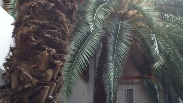 Предпоследние танцы во Дворце культуры железнодорожников Кишинева (18.03.2023, 5 эпизодов) Эпизод 1 смотреть онлайн