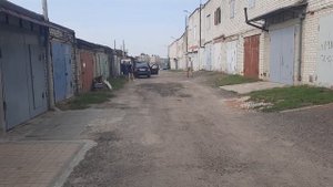 2 пары APOCALYPSE AP-M81A Арнольды громкий фронт