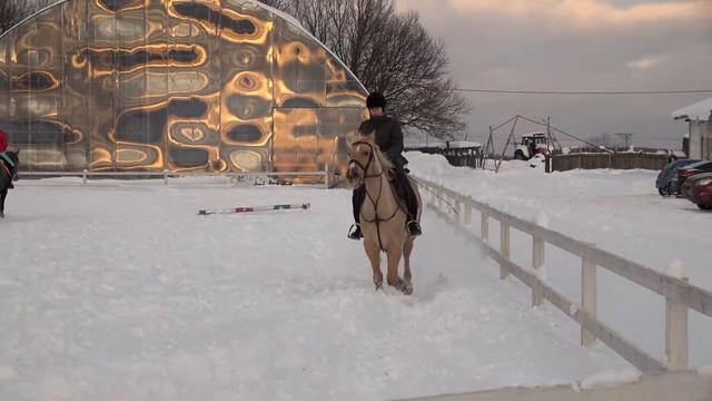 КСК "Покровский "16 января 2022 смотреть онлайн