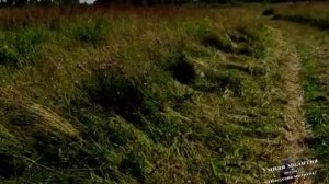 О значении слов  Господи Иисусе Христе помилуй нас.mp4