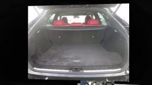 LEXUS RX300 2018 AND LEXUS NX300 2015