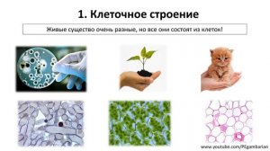 1. Свойства живого (5 класс) - введение в Биологию