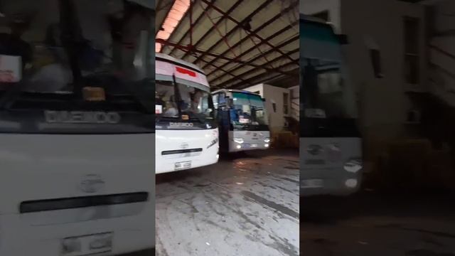 DAU,ANGELES,TARLAC.PHILIPPINE RABBIT смотреть онлайн