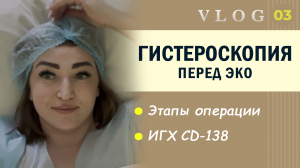 ЭКО. Гистероскопия // CD-138 // Подготовка к ЭКО