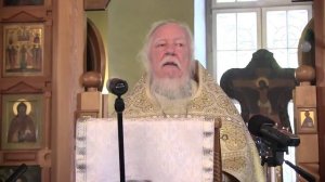 Проповедь на  неделю 11-ю по Пятидесятнице. Успенский пост. Дмитрий Смирнов