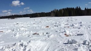 Зимовка Среднерусской пчелы в Пермском крае