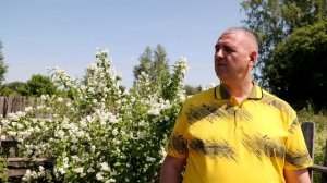 СНИТСЯ ДЕТСТВО