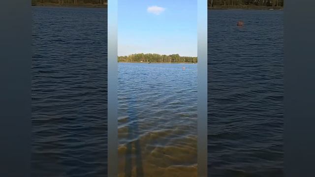 На Безымянном озере в Красном Селе. Последняя суббота августа 2021 года. смотреть онлайн