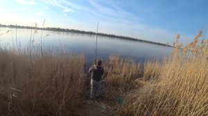 #20 Ловля Карася на Донку с Кормушкой Рыбалка с Берега на Большой Реке Голавль