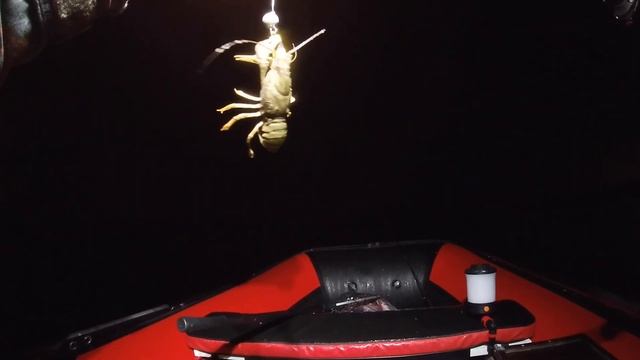 Ловля Судака с Лодки | Рыбалка ночью смотреть онлайн