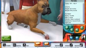 Pet Pals: Animal Doctor - Tutorial