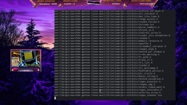 Fortified Gentoo RPi Install Part 5 смотреть онлайн