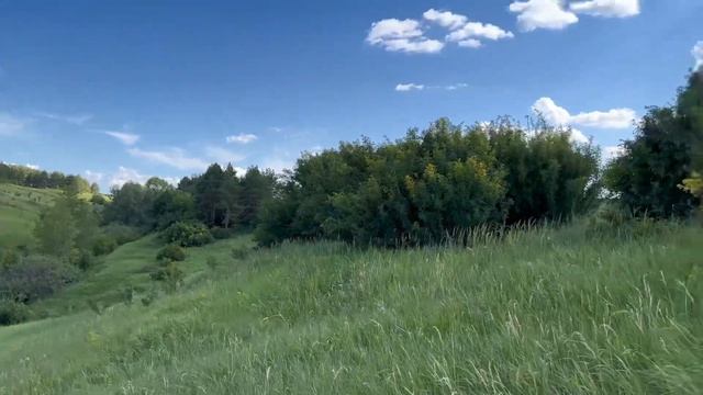 На выходной в Камское Устье,гору Лобач,Камский виноградник и невероятно красивую природу района
