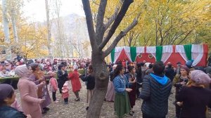 Туй дар Кулихуча 31.10.2021