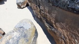 "Каменная могила".заповедник.Мелитополь.The reserve Stone Grave.Melitopol.Ukraine