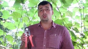 Пресс-клещи ПКВк-10 (КВТ)