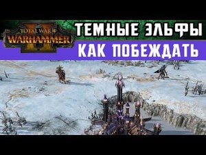Темные Эльфы Как побеждать за них в Total War Warhammer 2 (с переводом на русский)