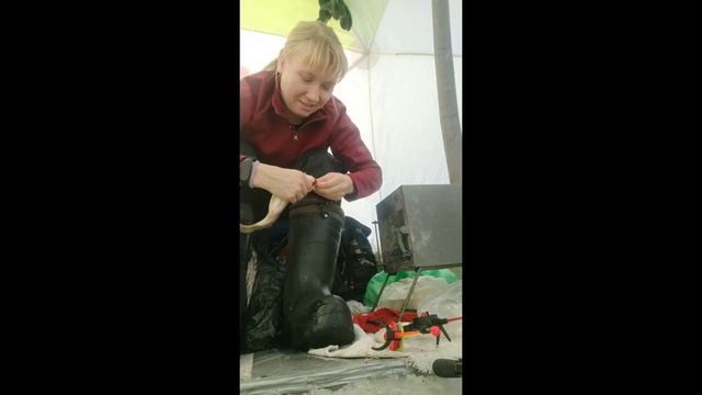 Рыбалка на озере Половинное ,Курганская область . смотреть онлайн