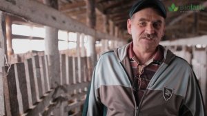 Бактерии для подстилки для КРС | Отзыв Биолатик "Biolatic" №3