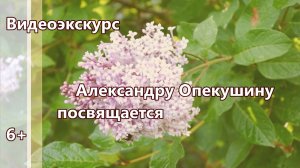 Видеоэкскурс «Александру Опекушину посвящается…»