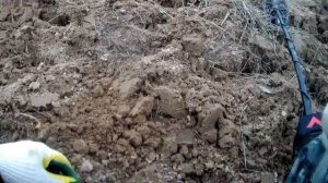 На распашке с Ванквиш 440