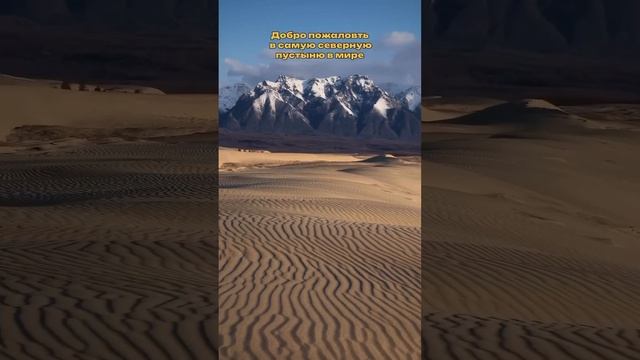 Легендарное место, в котором должен побывать каждый - урочище Чарские пески в Забойкальском крае!