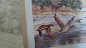 Вышивка крестом. Алиса. Утки летят. Начало.