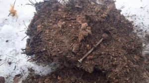 Долгожданный коп порадовал находками. Поиск с x-terra 705. #14