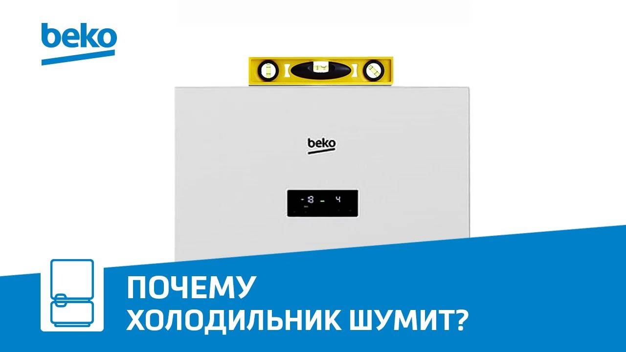 Холодильники Beko: почему шумит холодильник