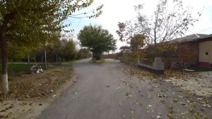 Приехали в Узбекистан.Сезон Хурмы.Узбекистан.