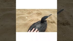 Каспийское море. Отдых в Избербаше. Приключение на море.