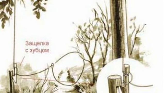 КАК ДОБЫТЬ ЕДУ В ДИКОЙ ПРИРОДЕ?  Выживание. Ловушки.