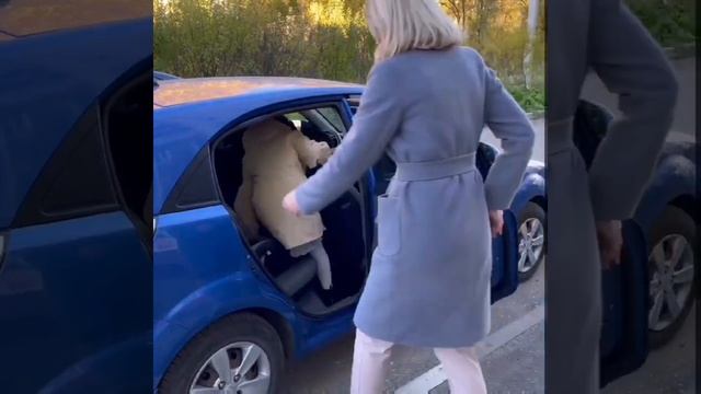 Сервис сопровождения детей BibiWay смотреть онлайн