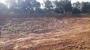 Пруд из глины. Обзор глиняной чаши.