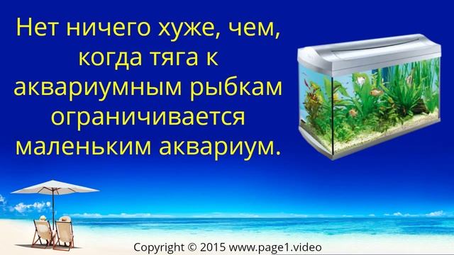 Купить аквариум Тюмень смотреть онлайн