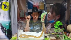 Основные принципы содержания рептилий