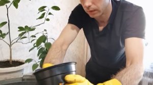 ПЕРЕСАДКА КОМНАТНЫХ ЦИТРУСОВЫХ / ЛИМОНА / МАНДАРИНА / АПЕЛЬСИНА