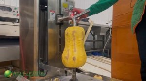 Оборудование Vega VML-150 очистка тыквы и тыквенных овощей от кожуры | Тестирование оборудования